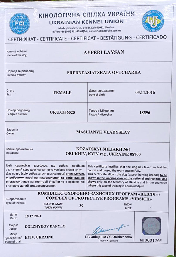 АЙПЕРИ ЛАЙСАН АЙПЕРИ ЛАЙСАН