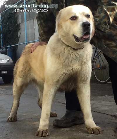��������������� �������