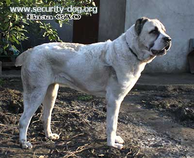 ��������������� �������