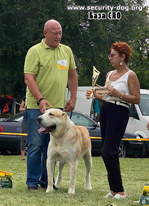 ���������� �������