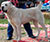 ��������������� �������