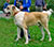 ��������������� �������