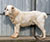 ��������������� �������