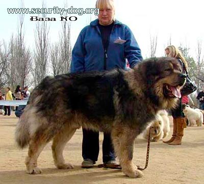 ���������� �������