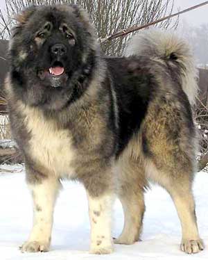 ���������� �������