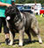 ���������� �������