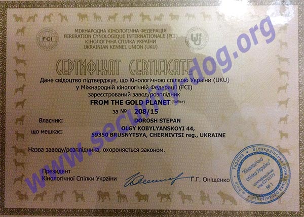 FROM THE GOLD PLANET FROM THE GOLD PLANET