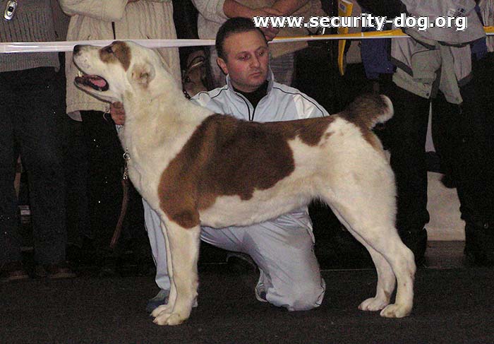 ПАРФА КАЗАХ-ИТ