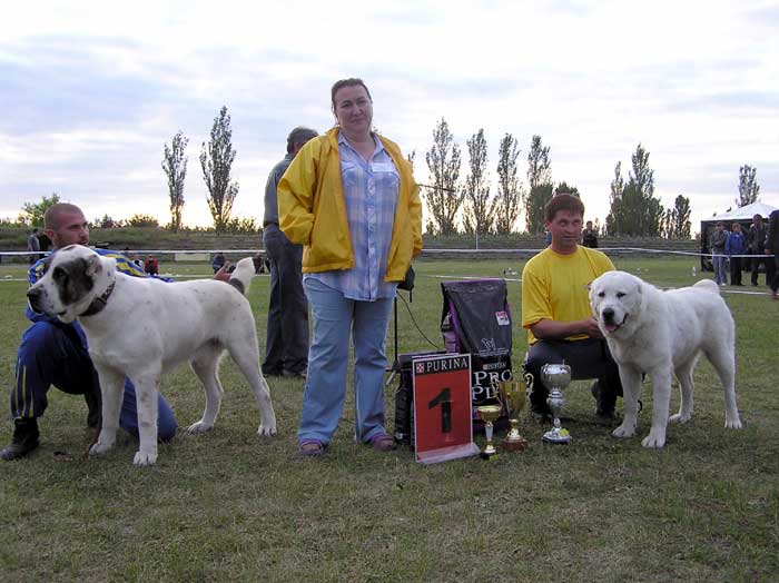������ ��� - ���������� - 2004