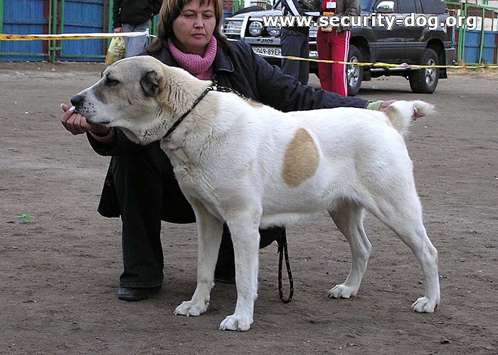 ГЮНЕШ САНДАКАН