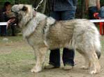 �������� ����������� ����